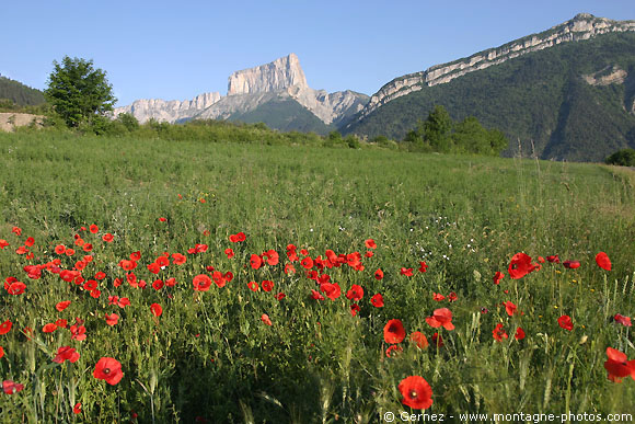 Séminaire nature dans le Vercors