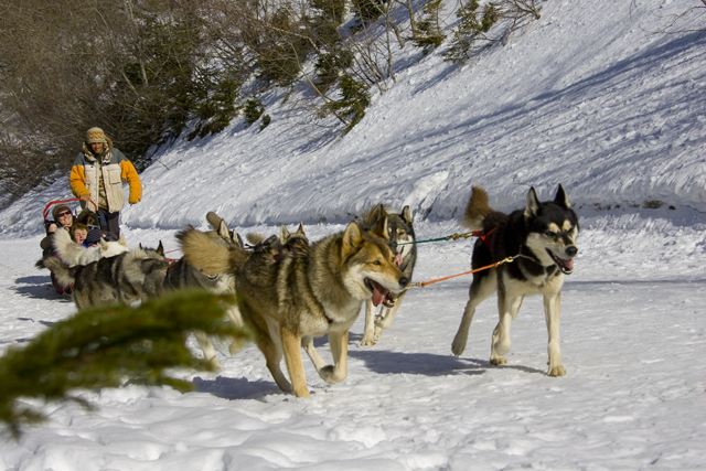 Séminaire ski