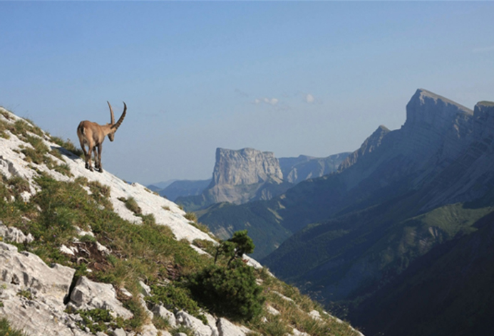 team building nature dans le vercors