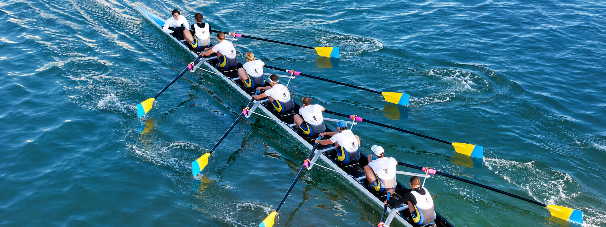 Team building aviron à Lyon : équipage de rameurs synchronisés lors d'une activité de cohésion