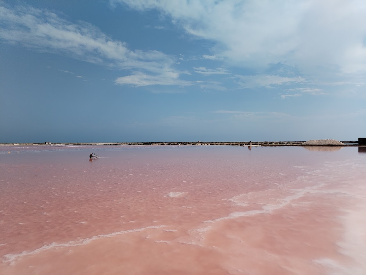 Découverte des marais salants d'Aigues-Mortes lors d'un séminaire en Camargue